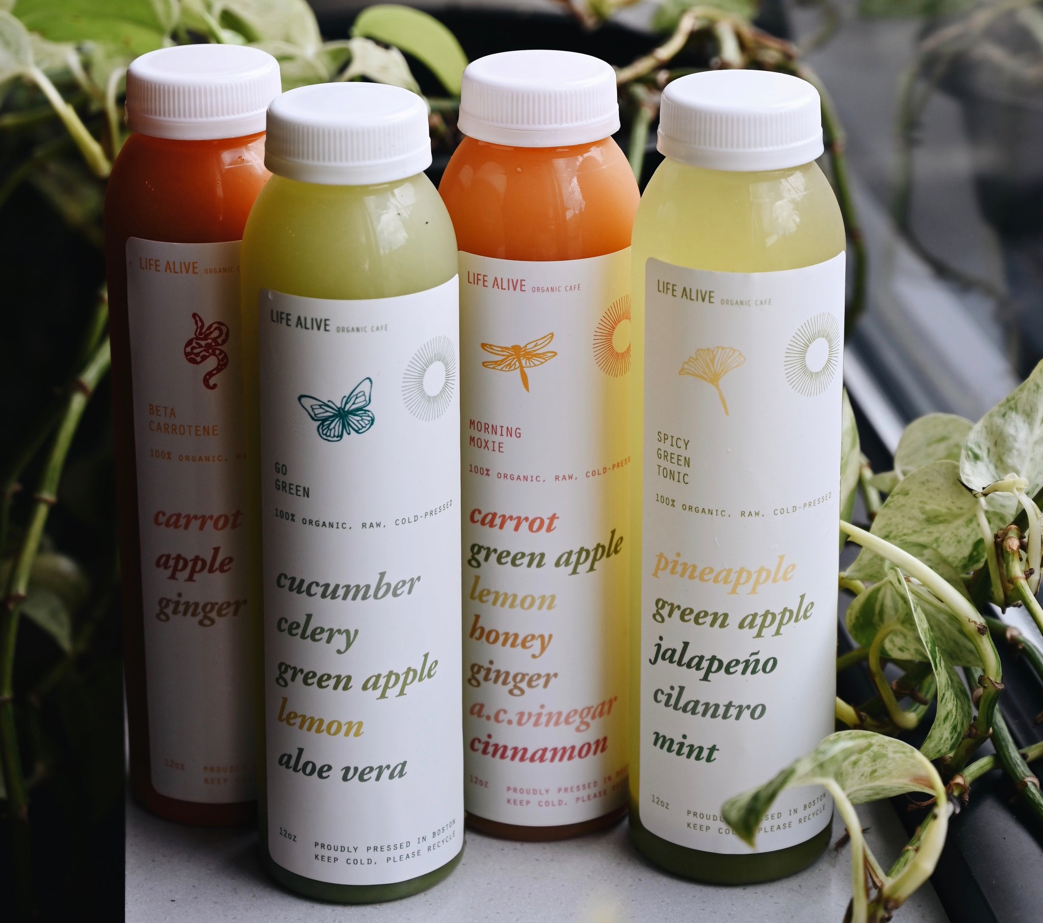 The cold press outlet juices