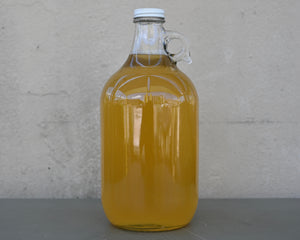 Ginger Kombucha - 64oz